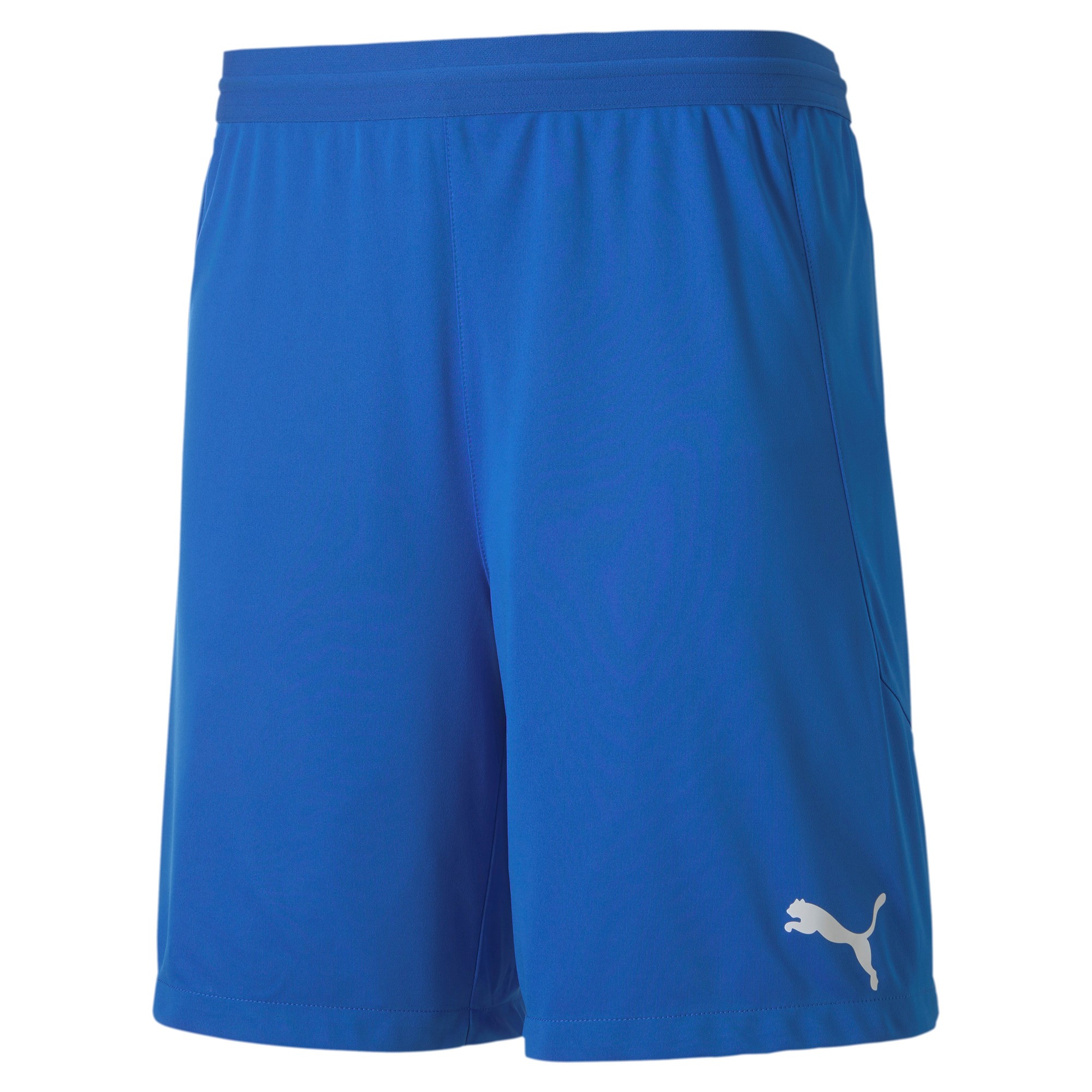 PUMA Teamfinal 21 Knit Shorts