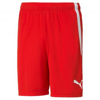 PUMA TeamLIGA Shorts