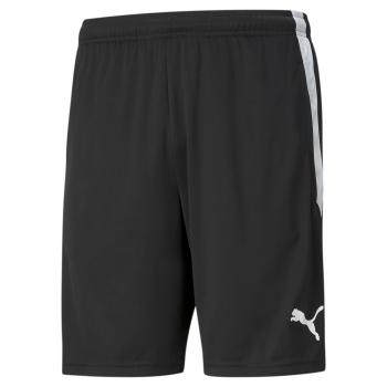 PUMA teamGOAL Training Short - SV Schechen - Abt. Fussball - Damen