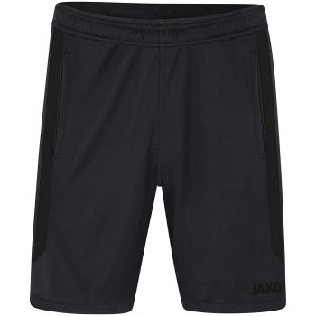 JAKO Sporthose Short Power - TC Seeschneid (Herren)