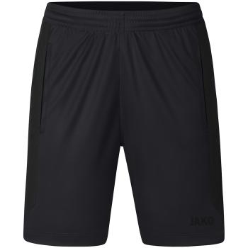 JAKO Sporthose Short Power - TC Seeschneid (Damen)